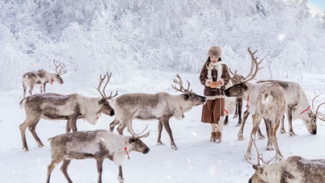 Yanji pick-up: Lawatan sehari ke Xue Ling/Tasik Laolike + Erdao Baihe dengan sewaan peribadi