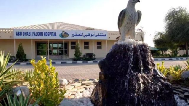 阿布達比獵鷹醫院+華納兄弟主題樂園+兒童公園親子包車一日遊