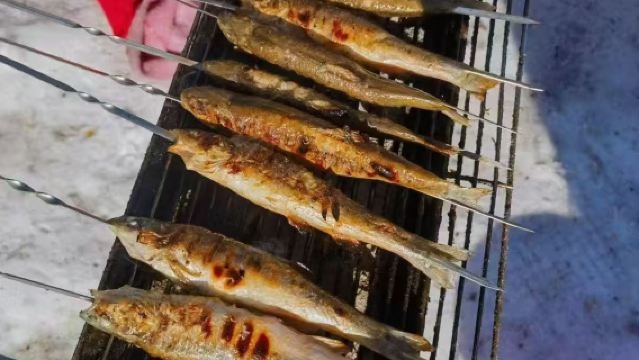 Xiaoshahe Rime Drift + Ice Fishing + Horse-Drawn Sleigh + Snowfield Hot Pot + Deer Encounter Pure Fun Day Tour