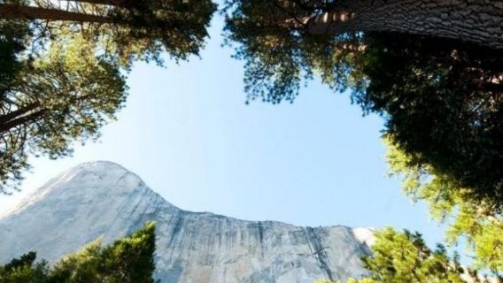 美國舊金山+優勝美地國家公園一日遊/行程可調-可定制