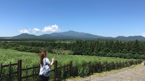 제주: 서귀포시 출발 제주도 동부 버스 투어