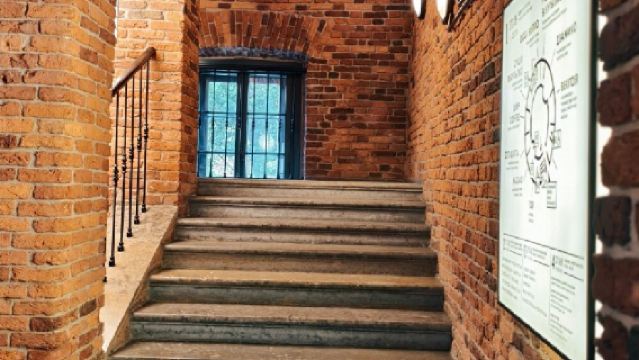 Russia Murmansk + Northern Lights day tour / adjustable itinerary - customizable options