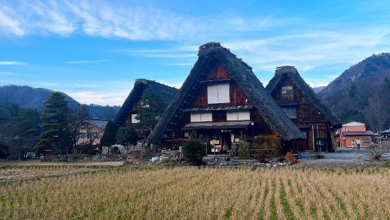 【名古屋出發】日本飛驒高山+白川鄉一日遊．精品純玩4-9人團