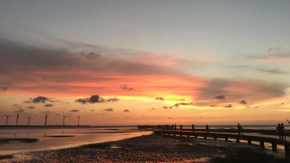 Gaomei Wetlands + Zhongshe Flower Market + Chun Shui Tang + Opernhaus + Fengjia Nachtmarkt [Abreise von Taichung]