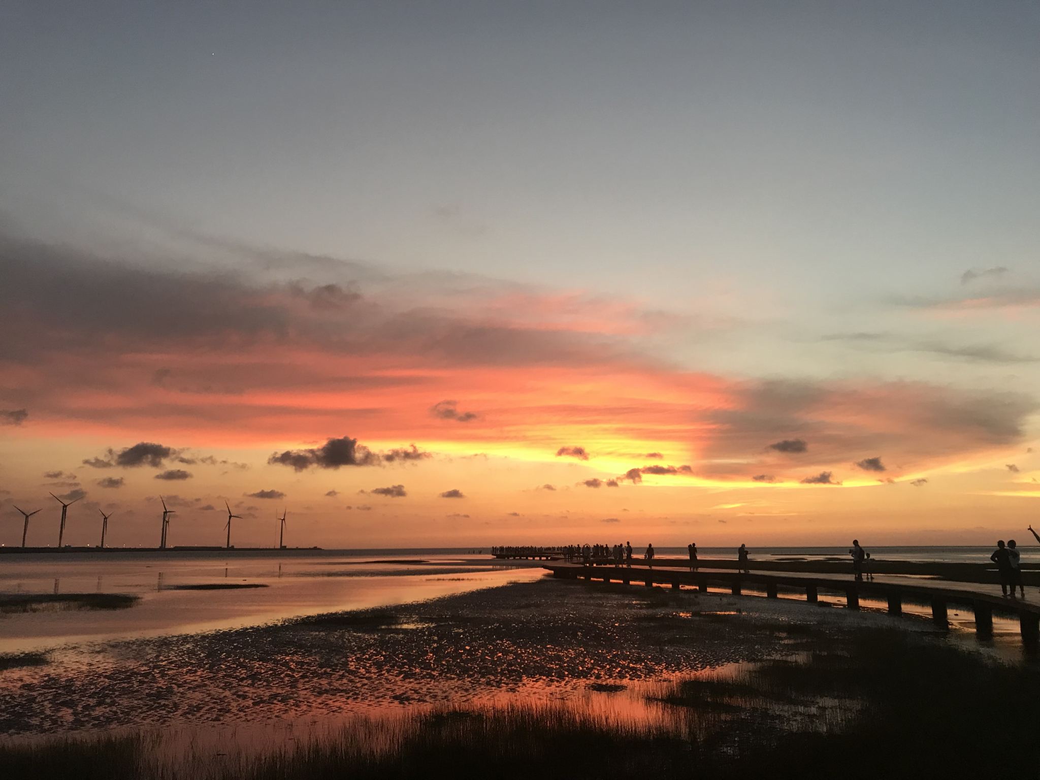 Taichung Gaomei Wetlands + Zhongshe Flower Market + Chun Shui Tang + National Taichung Theater + Fengchia Night Market [Departing from Taichung]