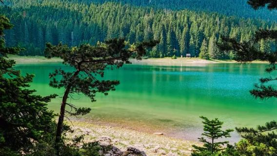 【黑山經典】杜米託爾國家公園+黑湖+拉峽谷大橋包車一日遊