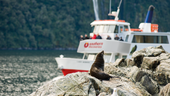 ทัวร์ 1 วัน รถบัสและการล่องเรือที่มิลฟอร์ด ซาวด์ นิวซีแลนด์ โดย Southern Discoveries จากควีนส์ทาวน์ ไปกลับ