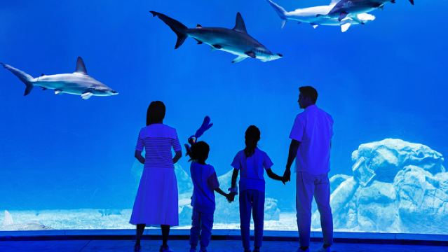 珠海橫琴長隆飛船樂園一日遊