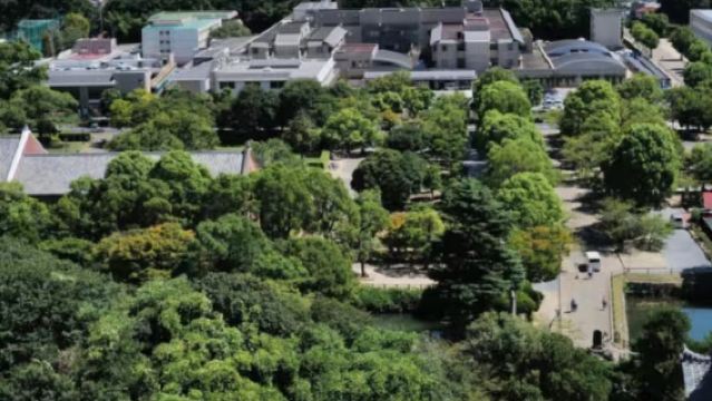 日本大阪【道崛頓+大阪城公園】中文包車一日遊