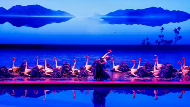 Shennongjia Show Ticket in Hubei's Hidden Gem (Holographic Projection + Visual Feast + Immersive Journey Through Primeval Forest + Legend of the Wild Man + Unraveling the Cultural Code of Shennongjia)