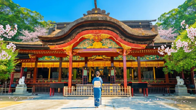 Cherry Blossom Day : Dazaifu, Yutoku Inari, Underwater Torii, Mifuneyama, Asahigaoka Park