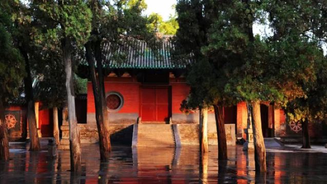 少林寺+武術表演+三皇寨一日遊【包含景區門票+專車接駁】