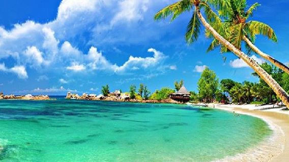 Mui Ne 1 day tour: Small group from Ho Chi Minh with Transfer, Lunch &Experience ATV rides
