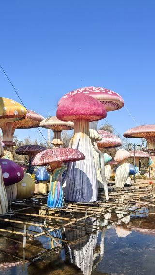 Philippines + Manila Ocean Park with customizable itinerary