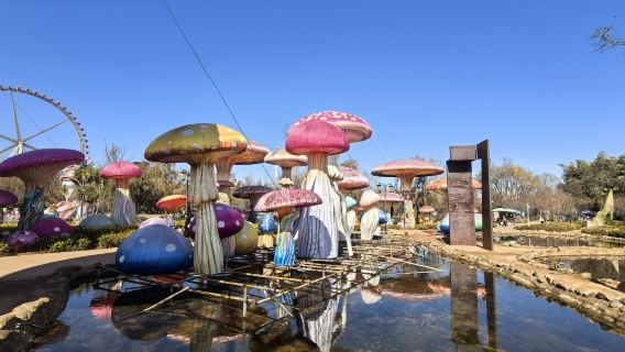 Philippinen + Manila Ocean Park // Maßgeschneiderte Reisen