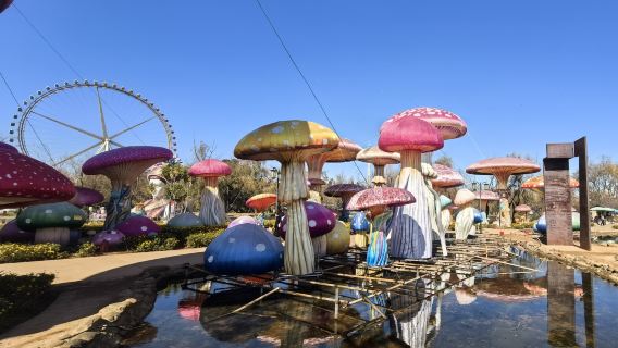 Philippines + Manila Ocean Park with customizable itinerary