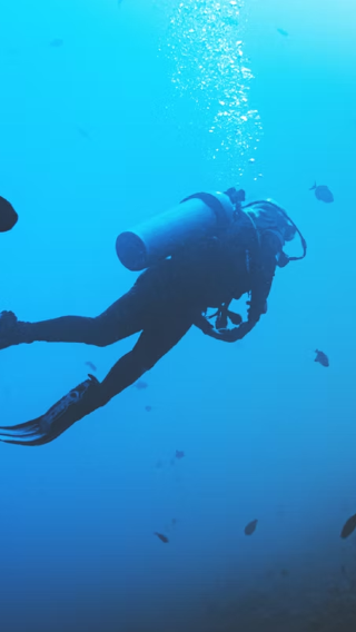 Okinawa blue cave diving half-day tour · optional snorkeling/diving/shore entry no seasickness