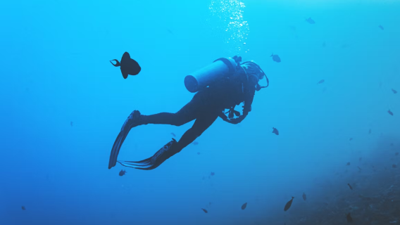 Okinawa blue cave diving half-day tour · optional snorkeling/diving/shore entry no seasickness
