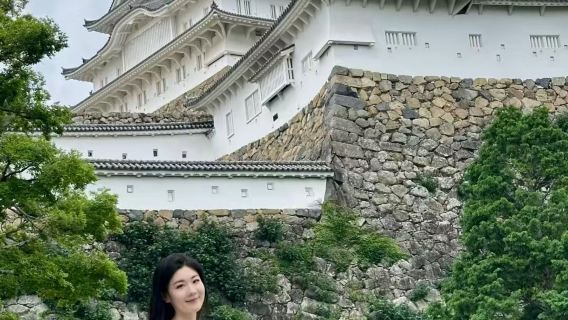 Tour di un giorno con noleggio con conducente esclusivo a Osaka + Castello di Himeji + Giardino Kōko-en + Parco di Himeji + Monte Maya / itinerario personalizzabile