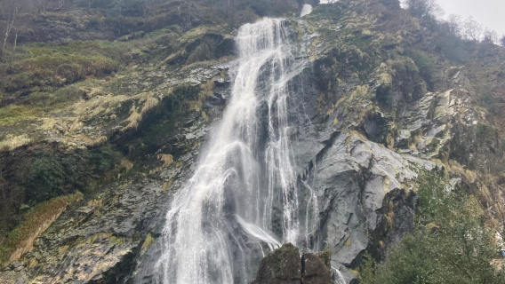 [Lawatan sehari sewaan peribadi Dublin Ireland] Estet Powerscourt + Jalan Grafton - tiket masuk tidak termasuk