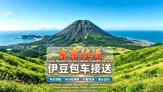[Premium private car service] Tokyo to Jogasaki Coast/Kadowaki Suspension Bridge/Izu-Kōgen Station/Mt. Omuro/Izu Shaboten Zoo. Professional drivers + guaranteed quality service.