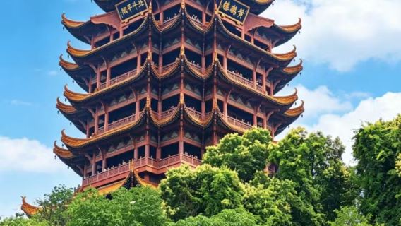 黃鶴樓+省博+東湖生態旅遊風景區+武漢大學+輪渡一日遊【贈黃鶴樓、省博講解】
