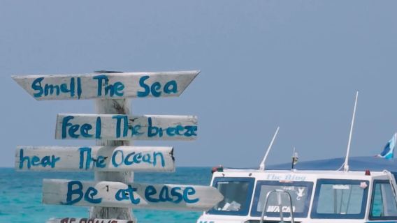 Μονοήμερη εκδρομή στο νησί Ring του Κότα Κιναμπαλού με σνορκέλινγκ για εύρεση θαλάσσιων χελωνών και εμπειρία θαλάσσιου ψαρέματος