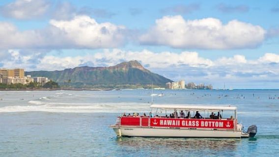ホノルル：オアフ島サウスショアのグラスボトムボートツアー