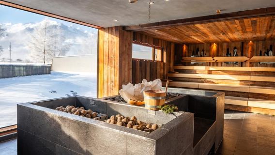Целль-ам-Зее: дневной входной билет в Tauern SPA Water World