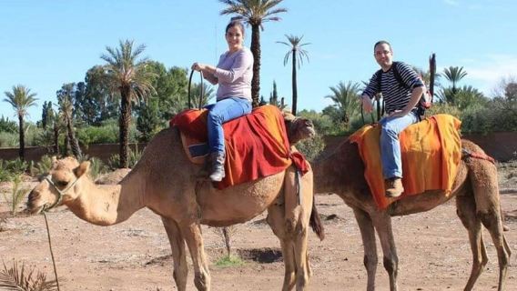 Biskra: Sahara Desert Camel Ride with Guide