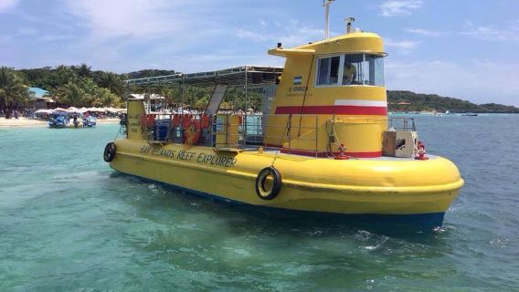 Roatan: Sloth Park, Horseback Ride & Glass-Bottom Boat Tour