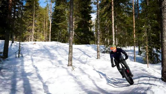Guided Fatbike Tour in Ivalo