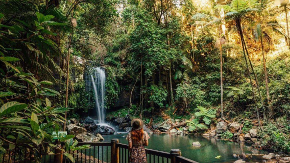 Gold Coast berjalan-jalan di hutan hujan Gunung Tianbaolin! Peluk koala dan usap kanggaru/terokai taman tema Movie World