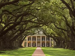 Swamp Boat Ride and Oak Alley Plantation Tour from New Orleans