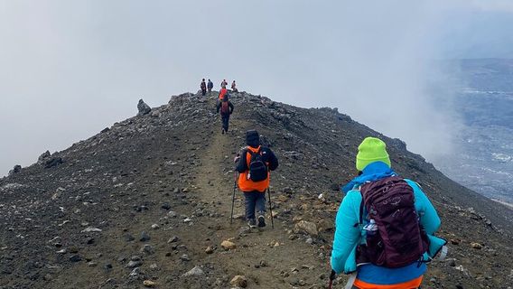 ReykjavikTours