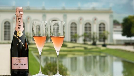 法國蘭斯香檳酒莊包車一日遊中文司機+精選路線+飯店接送