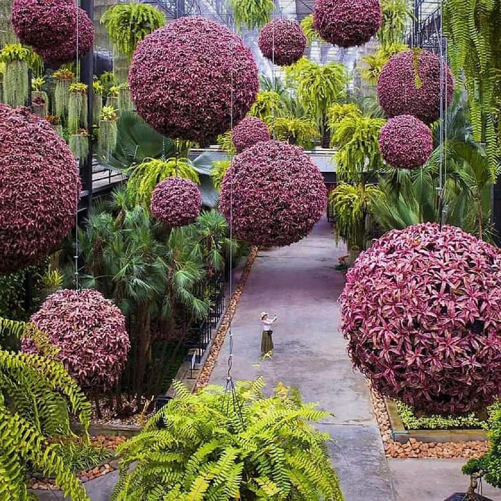 Nong Nooch Tropical Garden Performance in Pattaya, Thailand | Tour Bus | Elephant Ride | Thai Buffet Lunch | Various Option Available