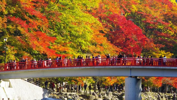 Temporada de arces | Excursión de un día al Valle de Korankei con arces + Castillo Inuyama - Grupo reducido de lujo