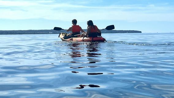 帕爾馬灣皮划艇租賃