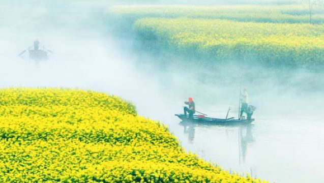 Lawatan sehari ke Tarikan Pelancongan Qian Duo + Hutan Air Li Zhong [Penghantaran dari Yancheng/Yangzhou/Taizhou]