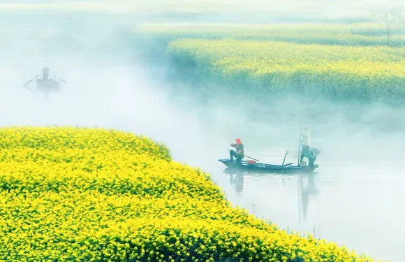 千垛景區+李中水上森林公園一日遊【鹽城/揚州/泰州上門接送】