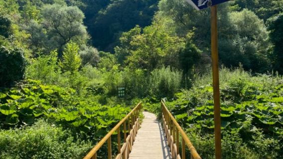 Gran Tour dell'Albania: Un Mix di Storia, Natura e Gastronomia All Inclusive