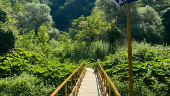 Albania Grand Tour: A Fusion of History, Nature, and Gastronomy All Inclusive