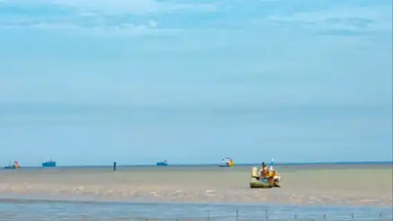 Shanghai Chongming Island 1-day tour [private tour with optional natural attractions/farmhouse dining/folk activities]