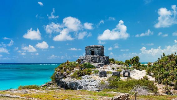 Tulum: Snorkeling with Turtles in Akumal + Mariposa Cenote + Lunch + Transfer
