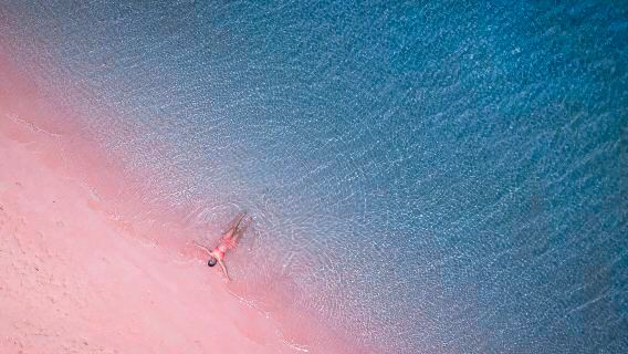 Excursion d'une journée complète à Komodo en hors-bord|Plage rose|Île Padar|Prise en charge/dépose à l'hôtel