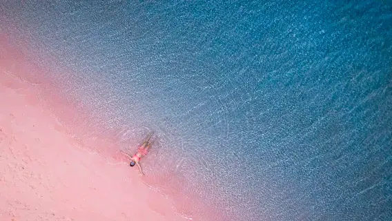 스피드보트로 즐기는 코모도 종일 투어|핑크 비치|파다르 섬|픽업/드롭 호텔