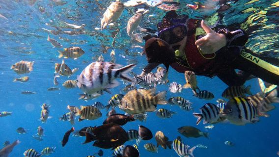 Wanning Pulau Jiajing, snorkeling tulen/rakaman udara papan dayung dengan jurulatih profesional, Pulau Zhouzai, memancing laut profesional tulen