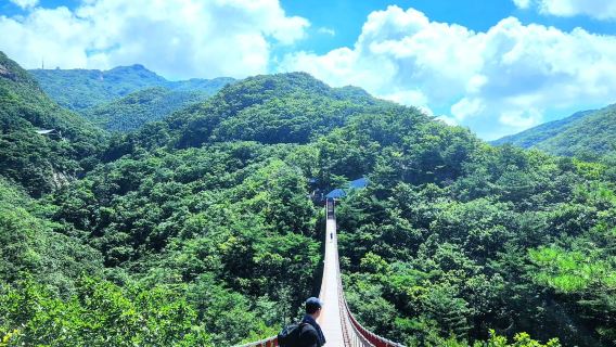 Tour di un giorno nei sobborghi di Seul: monte Gwanaksan, villaggio Eunpyeong Hanok e parco Haneul