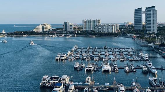 1-day tour of Shandong Rizhao World Sailing Base, Xingdao Taohua Island, and Lighthouse scenic area with English service available